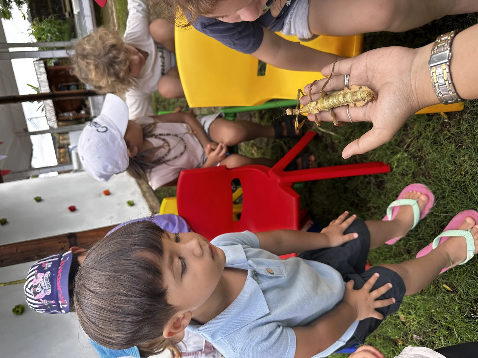 Sunny Kids Moment 33